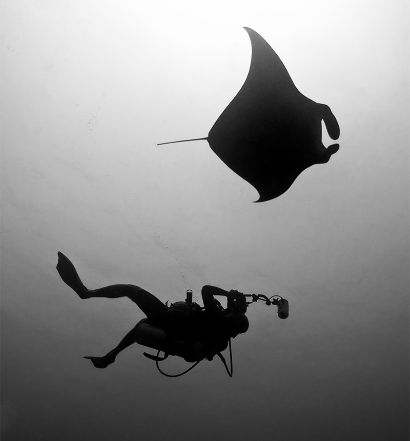 Perfect Buoyancy when doing underwater photography. 